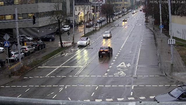 K113_3 Švitrigailos–Naugarduko g.
