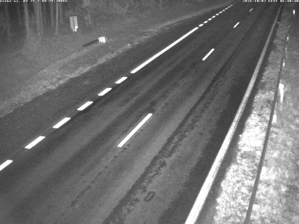 Glėbo ež. A4
