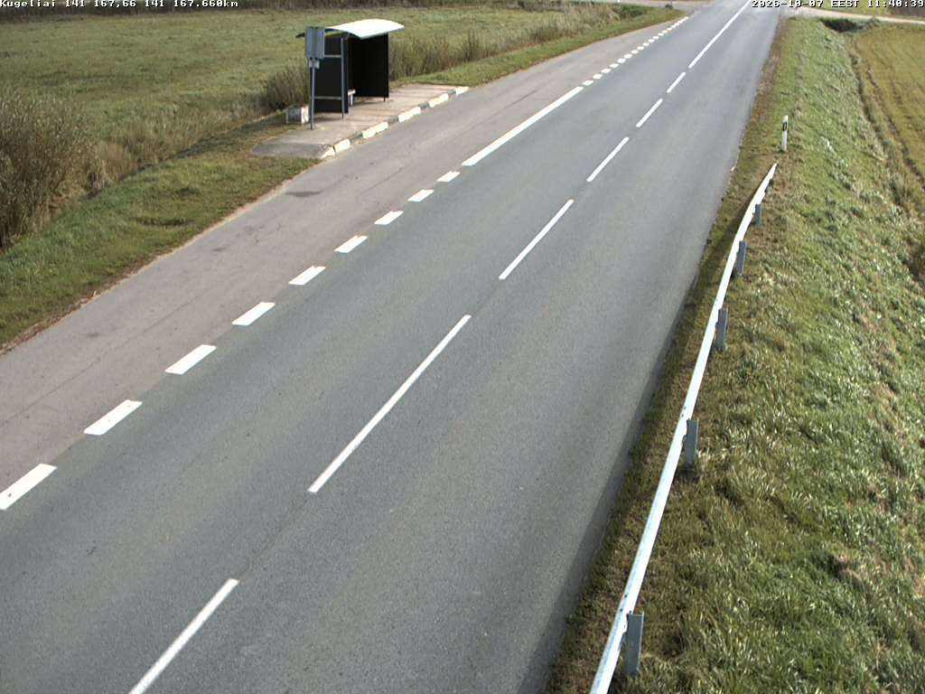 Kūgeliai 141