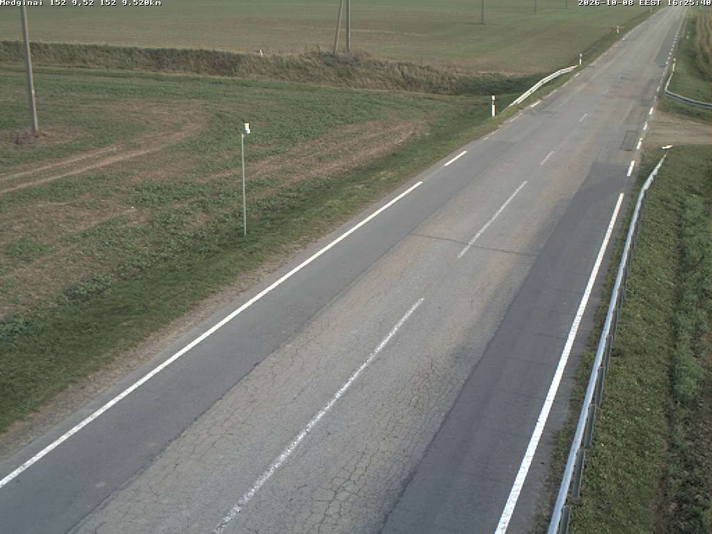 Mėdginai 152