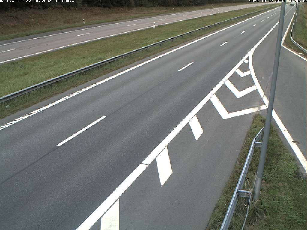 Bartkuškis A2