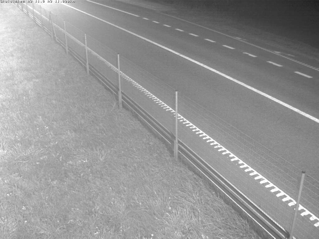 Skaidiškės A3