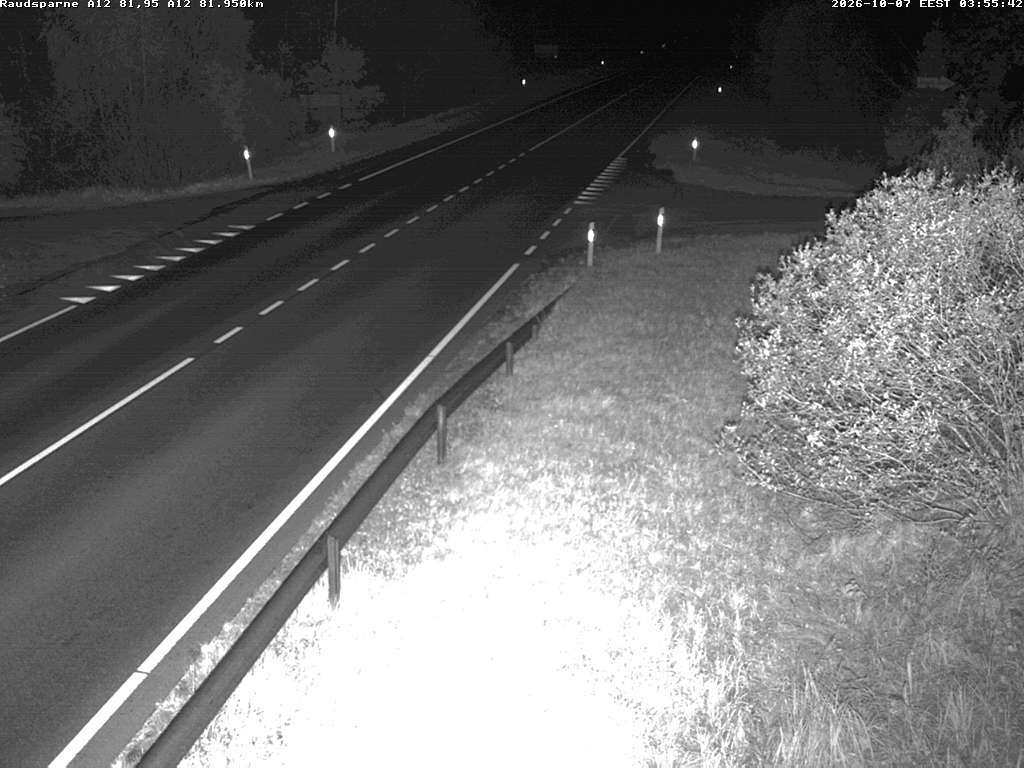 Raudsparnė A12