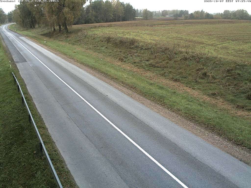 Svėdasai 120