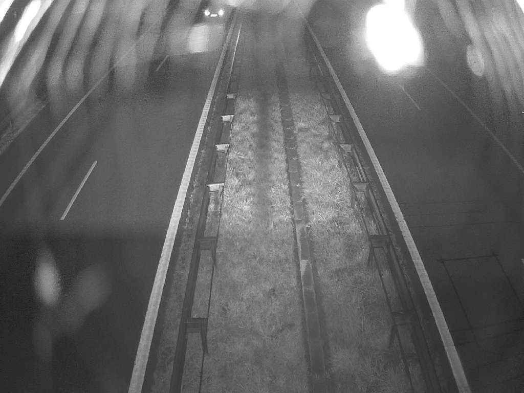 Šniūraičiai A9