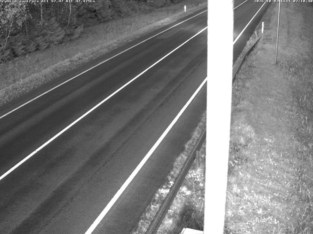 Tryškių sankryža A11