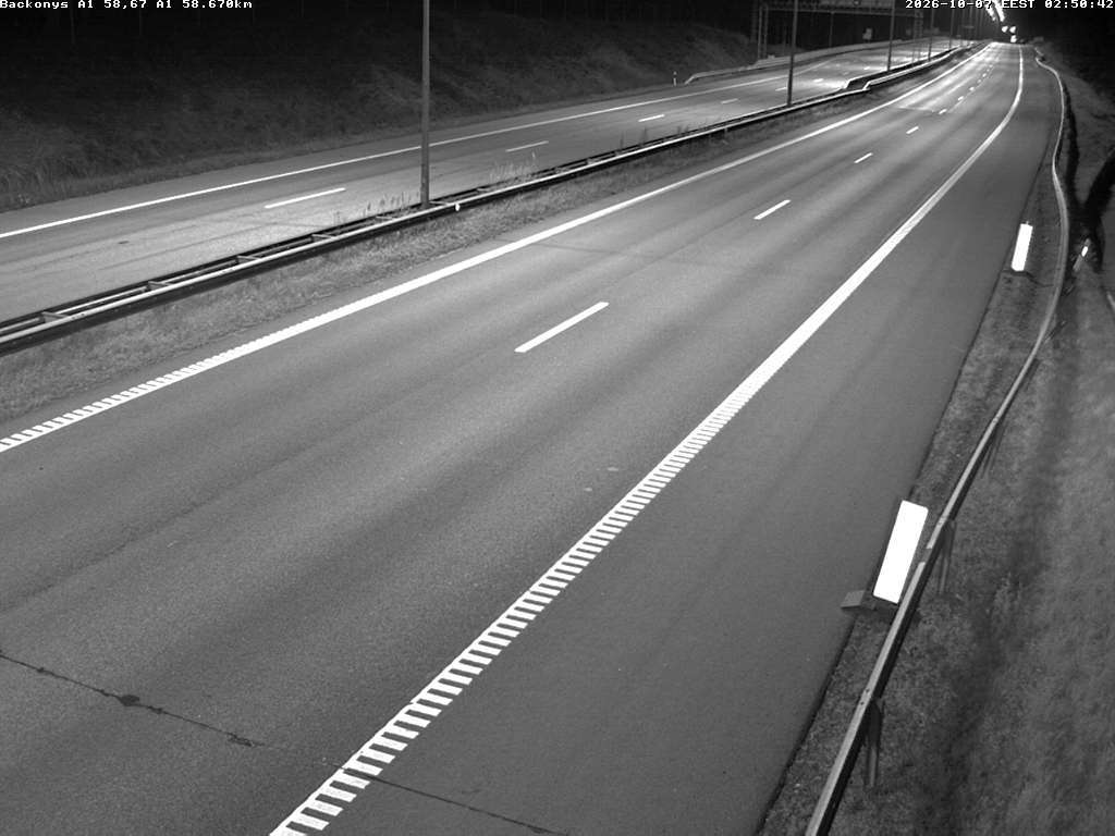 Bačkonys A1