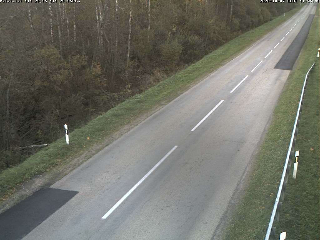 Maleišiai 111