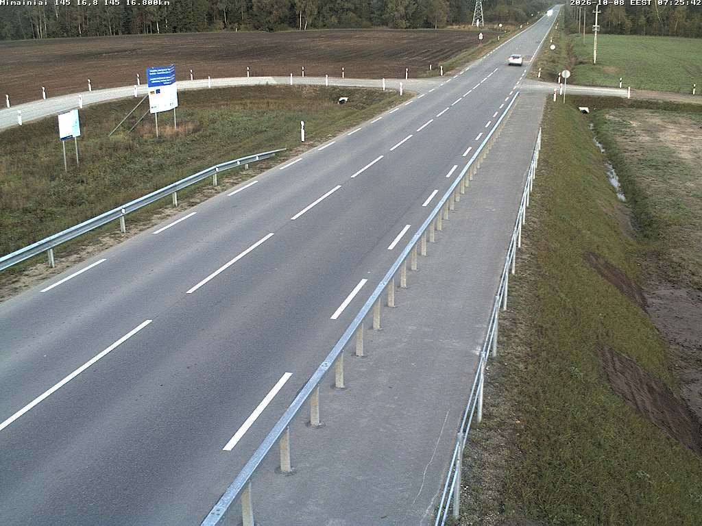Mimainiai 145