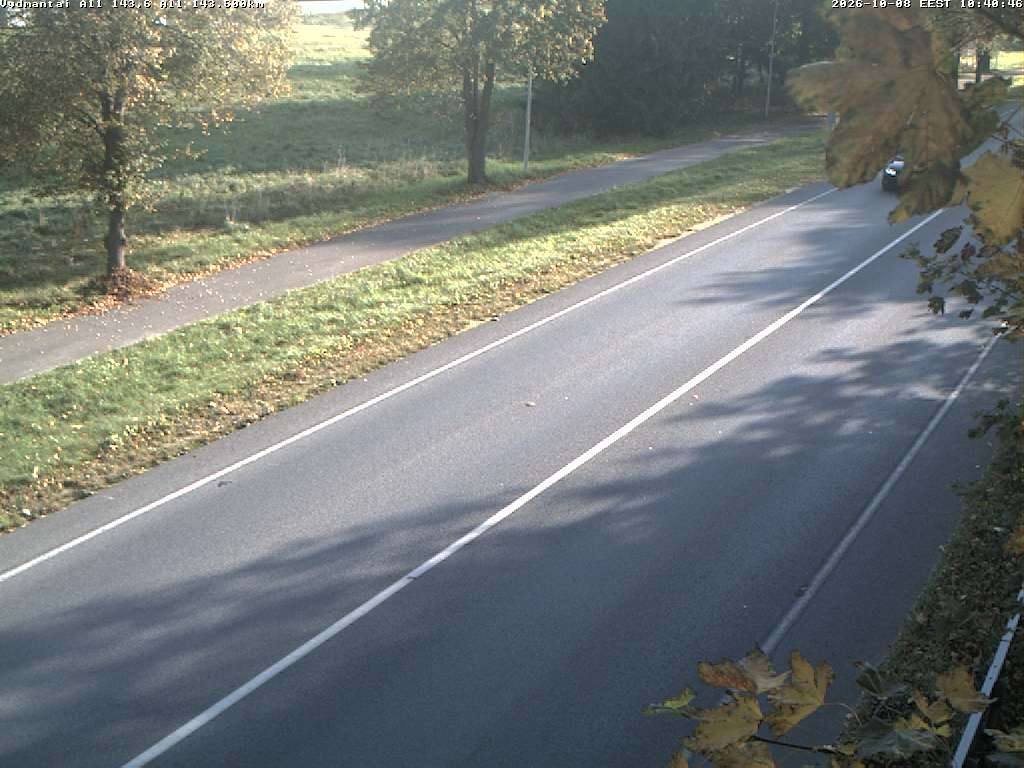 Vydmantai A11