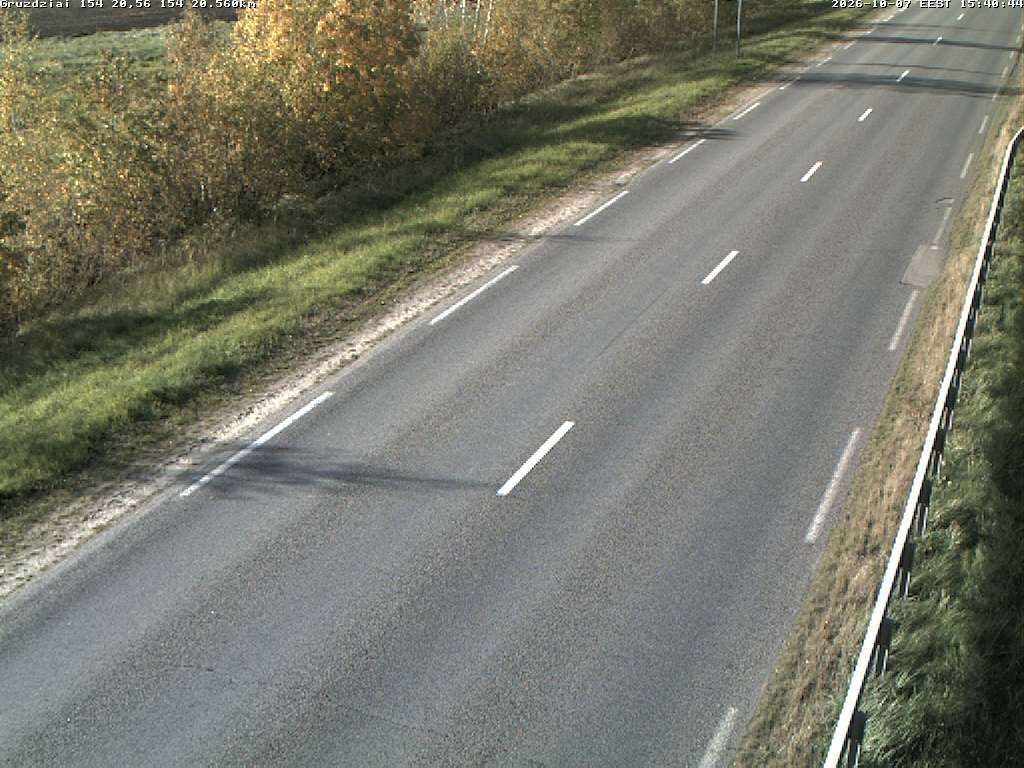 Gruzdžiai 154