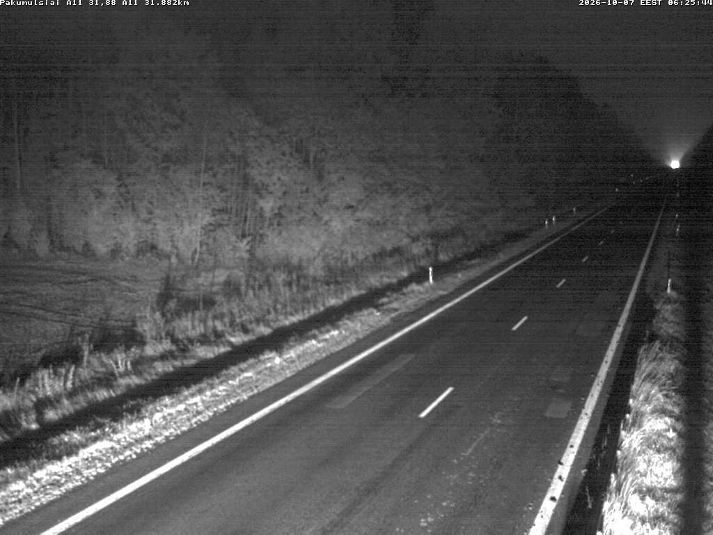 Pakumulšiai A11
