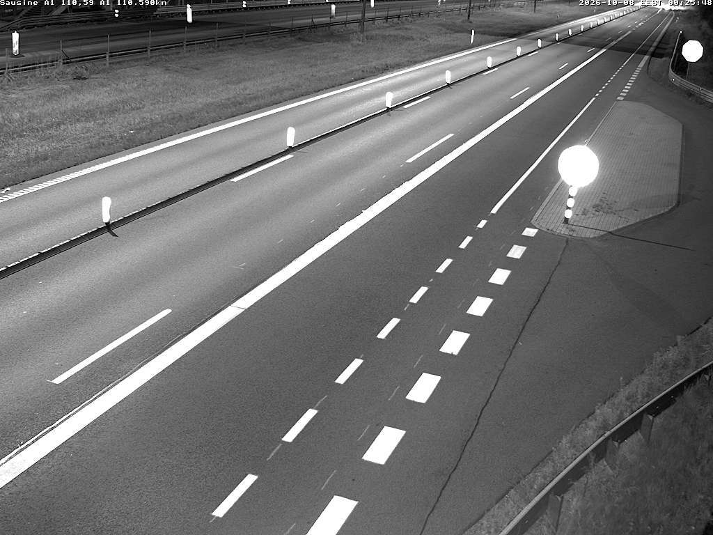Sausinė A1