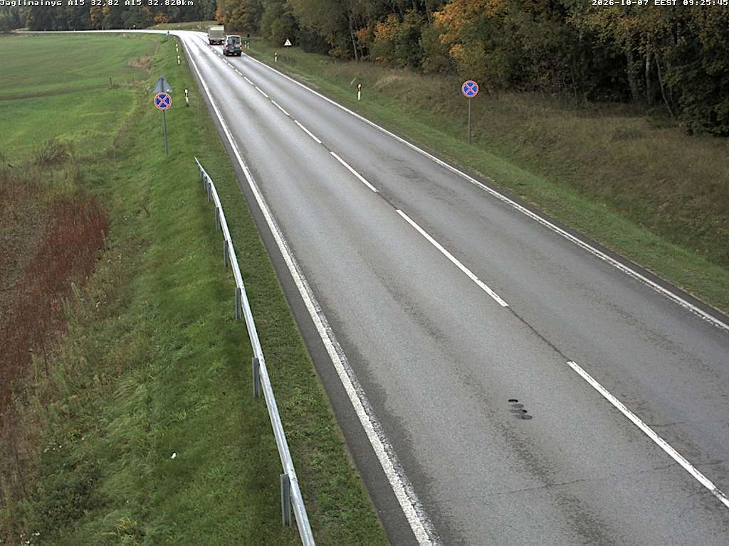 Jaglimainys A15