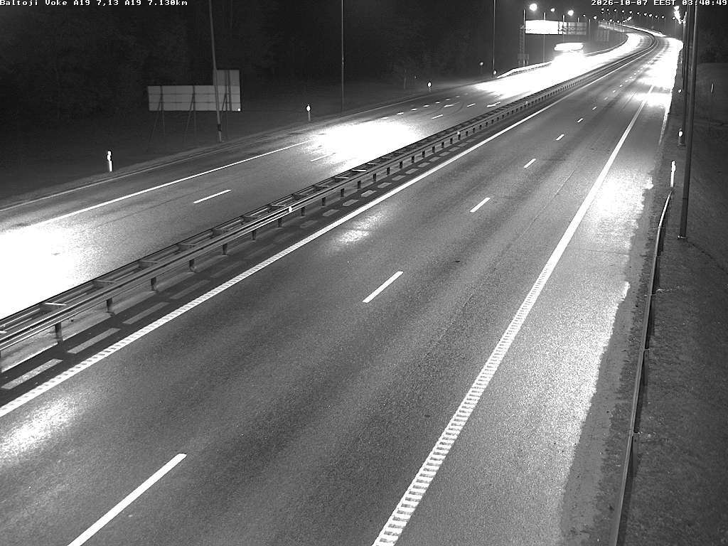 Baltoji Vokė A19