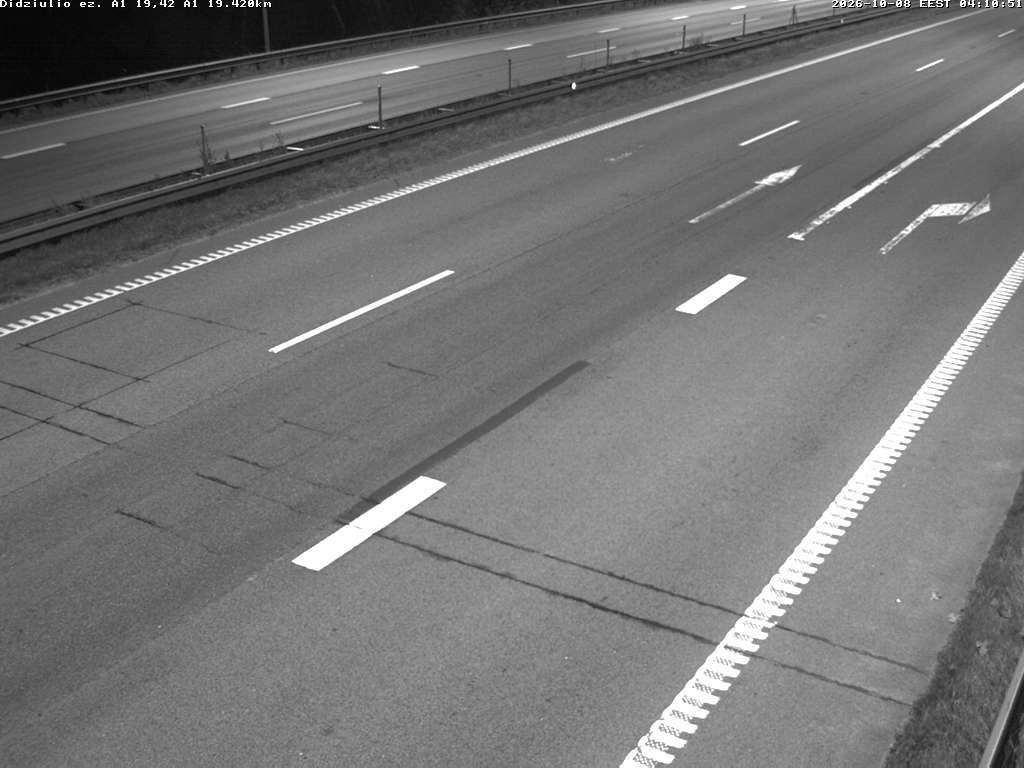 Didžiulio ež. A1