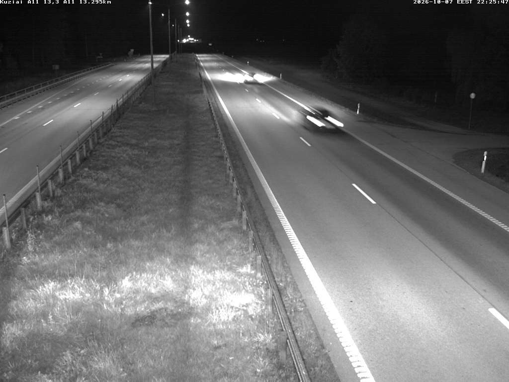 Kužiai A11