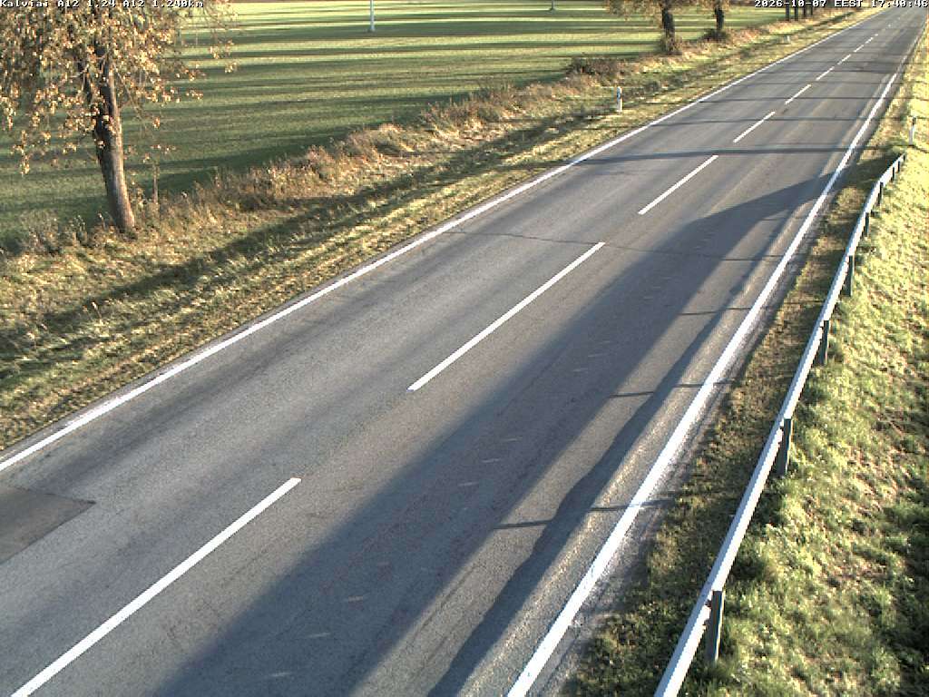 Kalviai A12